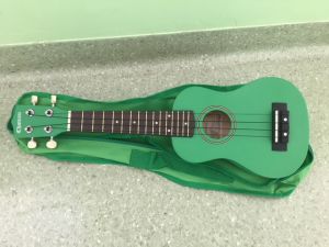 Nasze UKULELE do wylicytowania