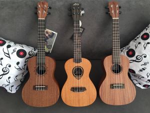 Ruszyła Akademia Dzielnicowa z ukulele